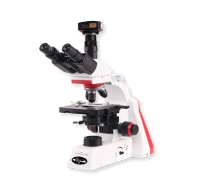 鳳凰光學生物顯微鏡BMC100-TB310U