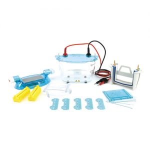 北京六一雙板垂直電泳儀基礎(chǔ)版 DYCZ-24K