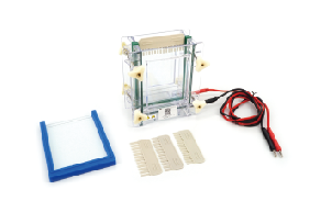 北京六一單板夾芯式垂直儀(槽)(小號)DYCZ-28A