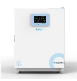 上海一恒生物安全低溫培養(yǎng)箱BISF-100C